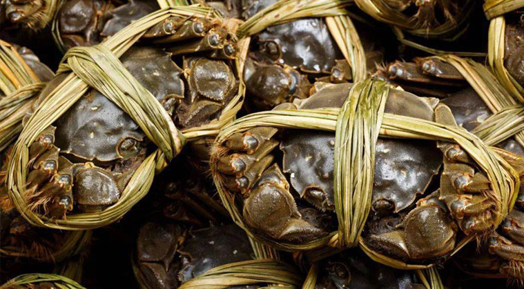 大閘蟹重量分揀